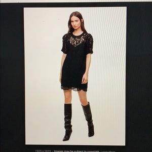 Aritzia Wilfred Leonie Dress